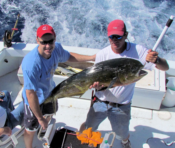 26lb dolphin caught in Key West fishing on Key West charter boat Southbound
