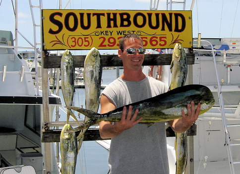 Dolphin caught fishing Key West charter boat Southbound