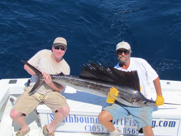 Sailfish caught and released in Key West fishing on charter boat Southbound from Charter Boat Row