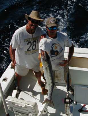 Key West Barracuda