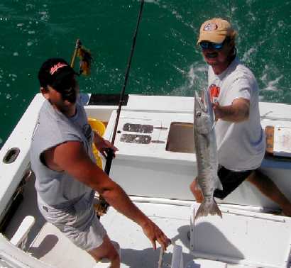 Key West Barracuda