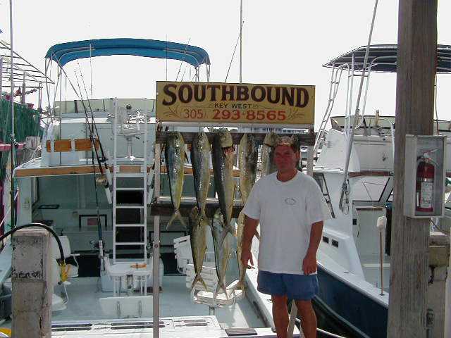 Schoolie dolphin off Key West, Florida