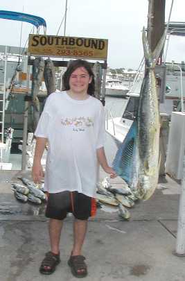 Bull Dolphin in Key West, Florida