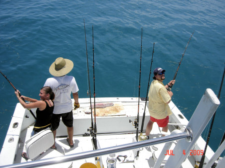 2 Sharks on going in opposit directions fishing Key West Florida on charter boat Southbound