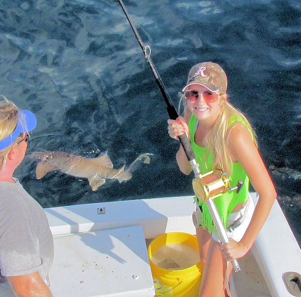 shark caught and released in Key West fishing on charter boat Southbound from Charter Boat Row