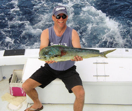 Dolphin caught fishing Key West, Florida on charter boat Southbound