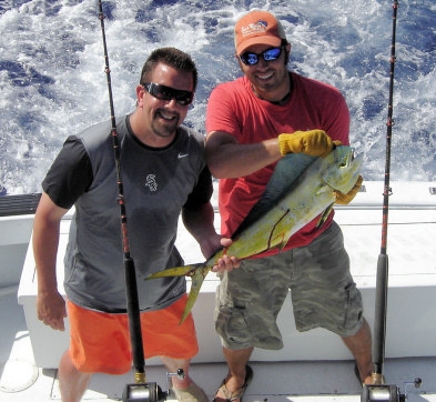 Dolphin caught fishing Key West on charter boat Southbound