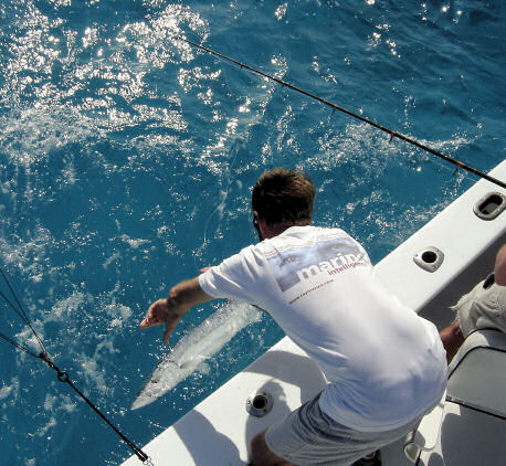 Pictures of Fish Caught aboard while Fishing Key West Charter Boat Southbound