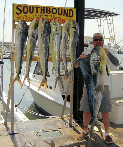 Dolphin caught fishing on Key West fishing boat Southbound from Charter Boat Row in Key West