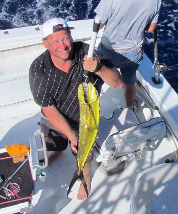 Dolphin caught in Key West fishing on charter boat Southbound from Charter Boat Row Key West
