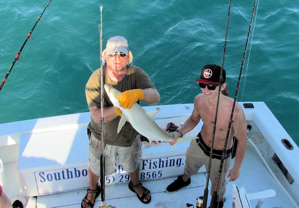 Sharp Nosed Shark caught fishing Key West on charter boat Southbound from Charter Boat Row Key West