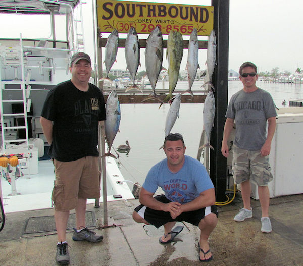 Black Fin Tuna, Bonitos, Mackrels and a Dolphin caught fishing Key West on charter boat Southbound from Charter Boat Row Key West