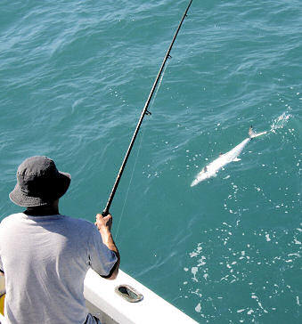 Pictures of Fish Caught aboard while Fishing Key West Charter Boat Southbound