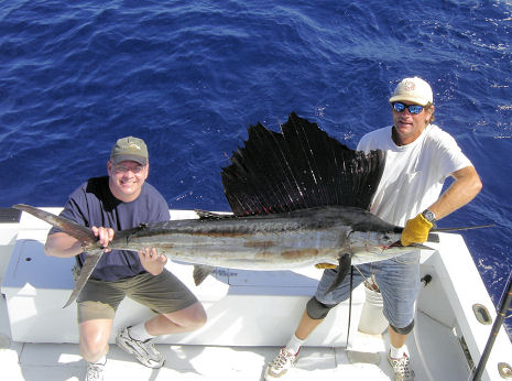 Fish caught aboard the Southbound in Key West, Florida