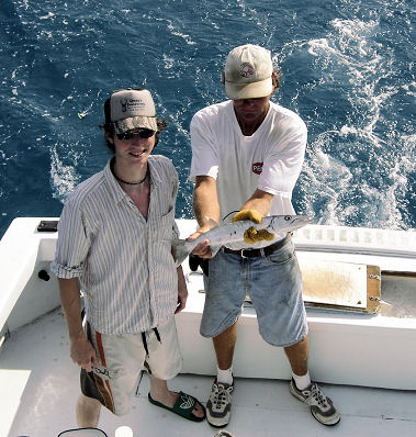 Fish caught aboard the Southbound in Key West, Florida