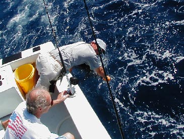 sail release.jpg (46501 bytes)