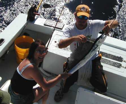 Key West Sailfish