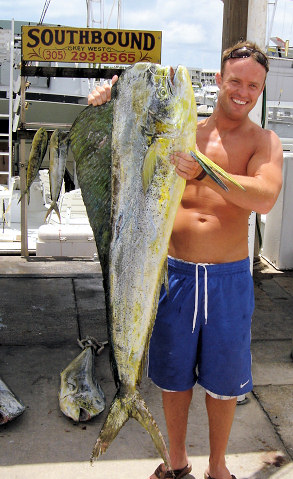 46 lb Dolphin caught fishing Key West on charter boat Southbound