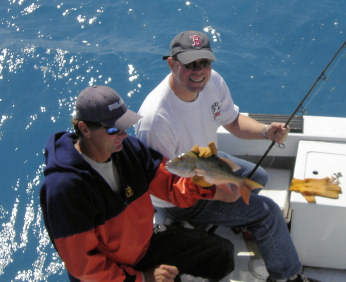Fish caught fishing Key West aboard charter boat Southbound