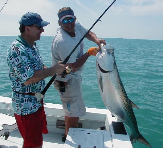 90 lb Tarpon in Key West