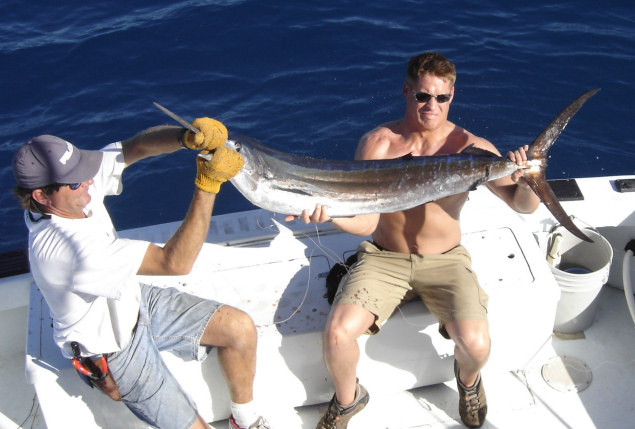 Sailfish caught fishing aboard charter boat Southbound in Key West, Florida