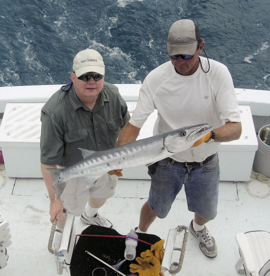 Barracuda caught in Key West fishing on charter boat Southbound from Charter Boat Row Key West