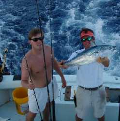 Bonitos in Key West