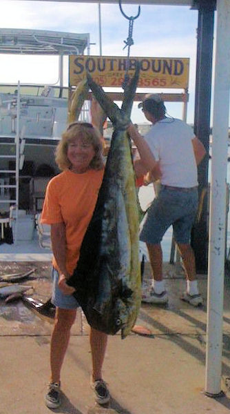 30 lb Bull dolphin caughe in Key West fishing on charter boat Southbound from Charter Boat Row Key West