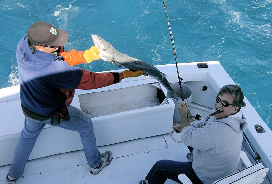 Big Barracuda caught deep sea fishing in Key West, Florida on Key West charter boat Southbound on Charter Boat Row