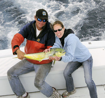 Small Dolphin caught deep sea fishing in Key West, Florida on Key West charter boat Southbound on Charter Boat Row