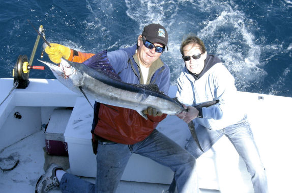 Sailfish caught deep sea fishing in Key West, Florida on Key West charter boat Southbound on Charter Boat Row