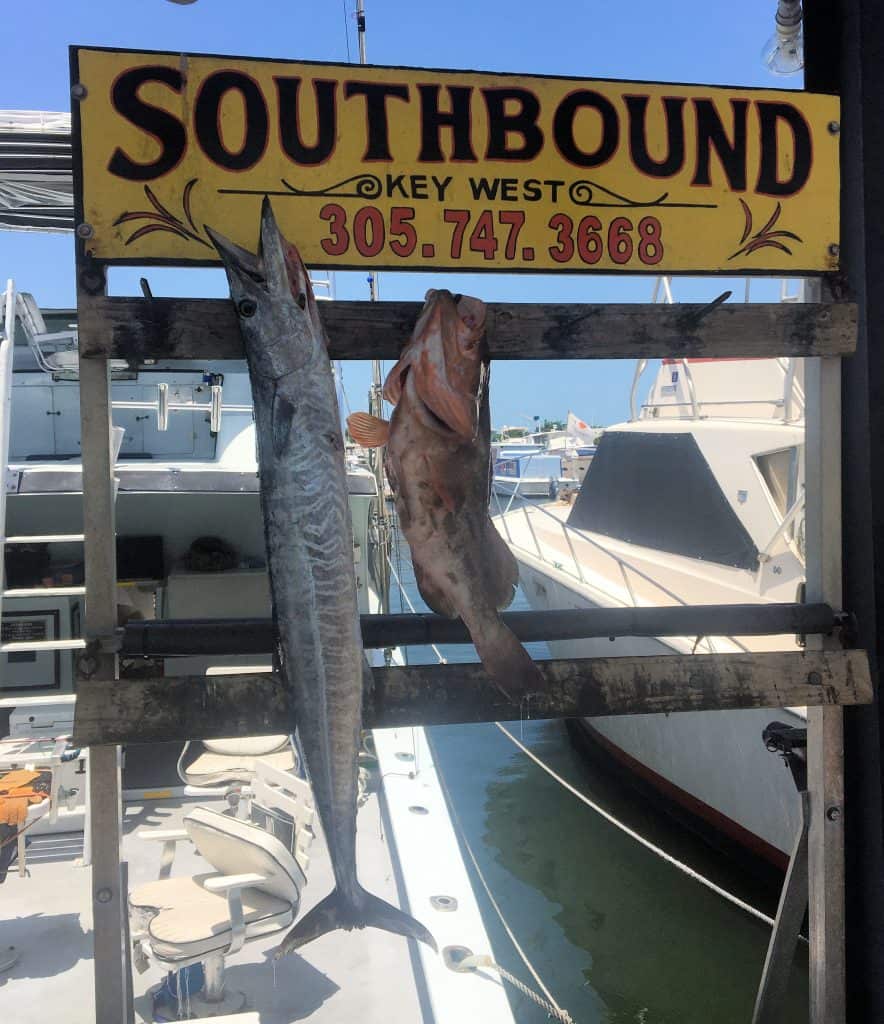 Wahoo and Red Grouper