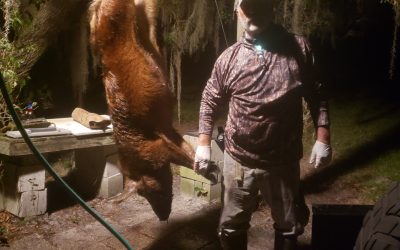 News from the Hunting Camp