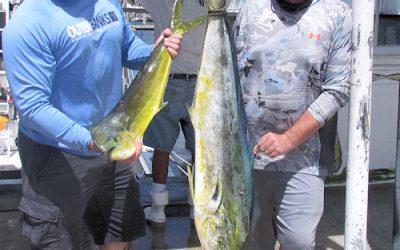 fishing along the color change