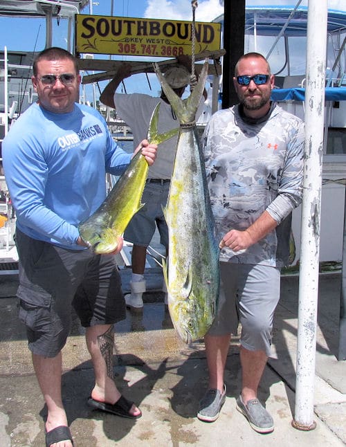 A coupld of good dolphin caught fishing along the color change in Key West Florida