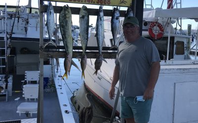 A few Late season Dolphin