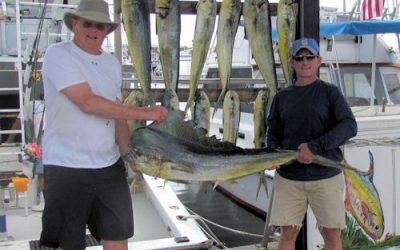 Good Dolphin fishing