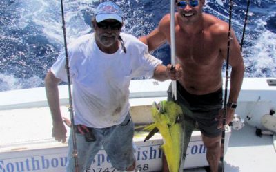 Full Day Dolphin Fishing Trip Today