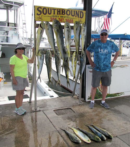 Nice catch of dolphin up to 20 lbs in Key West with charter boat Southbound