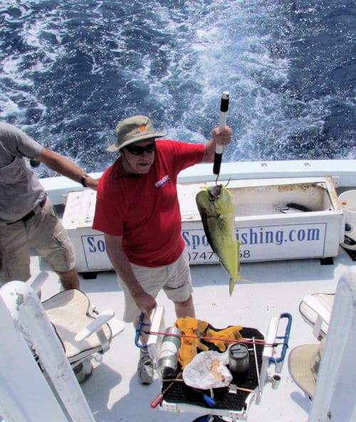 Dolphin caugth offhsore with Southbound Sportfishing