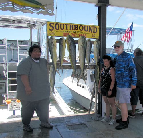 Dolphin caught offshore in Key West fishing on the Southbound