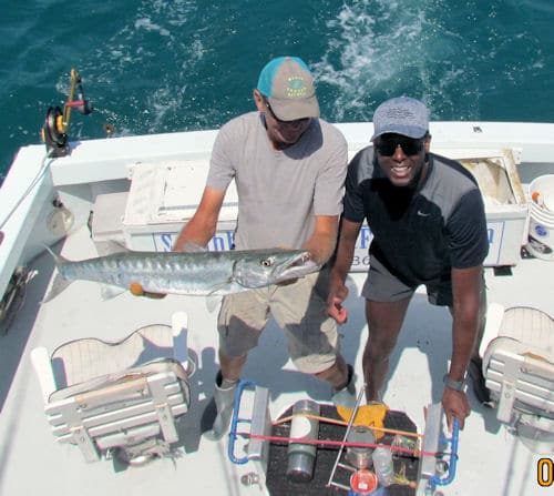 Big Barracuda provide great Reef action when fishing in the Florida Keys