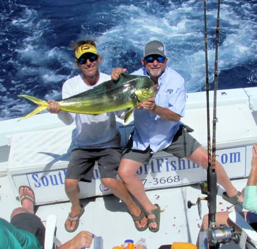 Bull Dolphin caught with Southboun Sportfishing in Key West, Florida