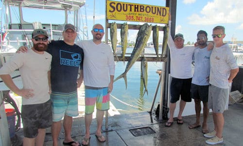 dlphin caught on the Southbound in Key West Florida