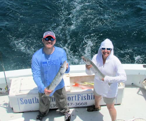 Barracudas on the Reef off Key West can be great acton