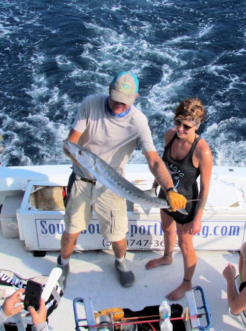 Barracuda caught and released in Key West florida