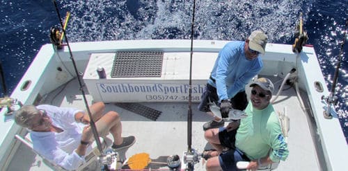 bonito caught fishing in Key West Florida on charter boat Southbound