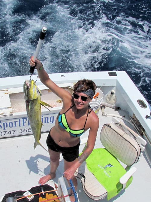 Dolphin caught in Key West trolling offshore on the charter boat Southbound