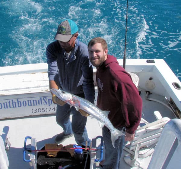 Barracuda caugth and released in Key West fishing on charter boat Southbound