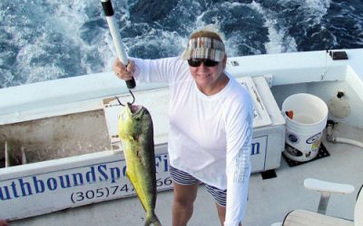 Black Fin Tuna and Bonitos